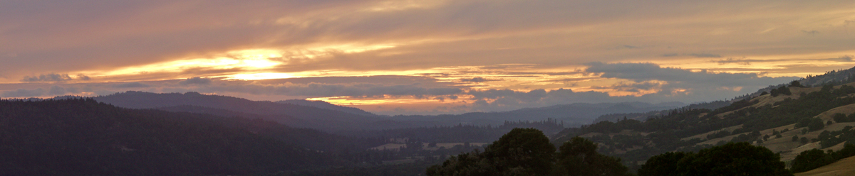 Sheepdung sunset pan 2